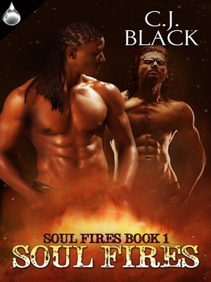 cover image of Soul Fires